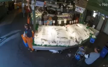 New Seattle Fish Market Live Cam