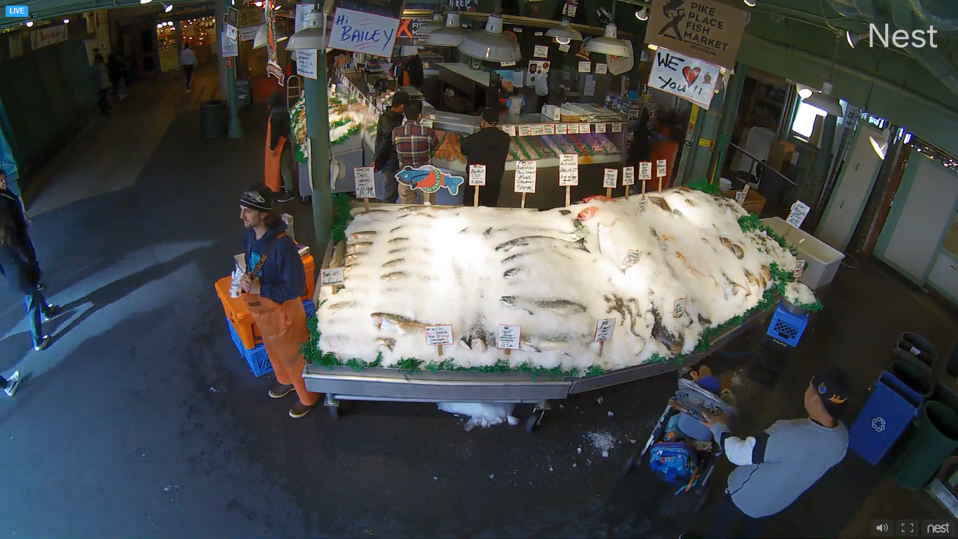 Live Webcam Pike Place Fish Market Seattle, Washington
