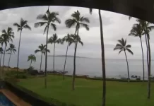 Kihei Cove Park Maui Live Cam New In Hawaii