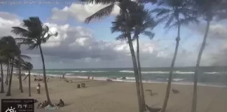 Hollywood Beach Boardwalk Cam