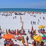 Frenchy's Clearwater Beach Live Cam New In Florida