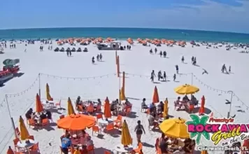 Frenchy's Clearwater Beach Live Cam New In Florida