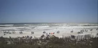 Sterling Reef Panama City Live Cam New In Florida