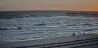 Calypso Towers Beach Live Cam New Panama City Beach, Florida