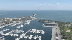 St Petersburg City Pier Live Webcam New In Florida