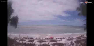 Turtle Sunset Live Webcam New In Naples, Florida