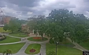 The University Of Tampa Live Webcam New In Florida