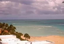 St. Lucie Inlet Live Cam New In Florida