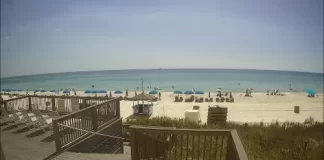 Palazzo Beach Condos Live Webcam New In Florida