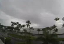 Pacific Tsunami Museum Webcam New In Hawaii