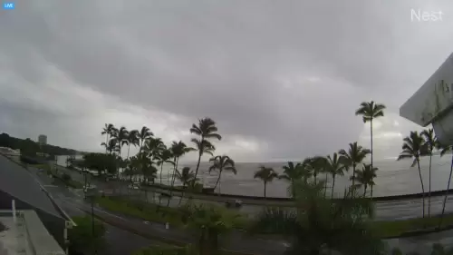 Tsunami live camera
