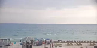 Emerald Beach Resort Beach Live Cam New Panama City, Florida