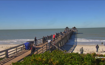 Naples Pier Live Cam New In Florida