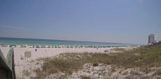 Silver Shells Beach Resort Live Cam New In Destin, Florida