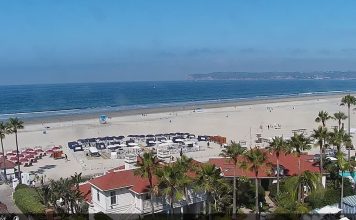 Silver Strand State Beach Live Webcam