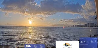 Oahu Waikiki Beach Live Stream Cam In Hawaii New