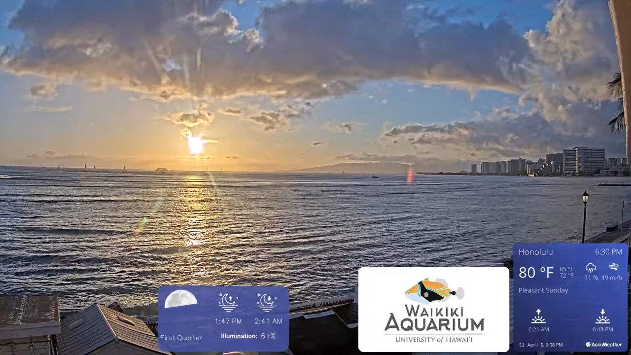 Waikiki Beach Live Webcam Oahu, Hawaii