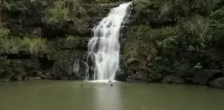 Waimea Falls Live Cam From Oahu Island New In Hawaii