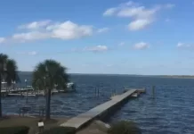 Orange Beach Live Osprey Live Cam New Alabama