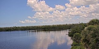 Jn Ding Darling National Wildlife Refuge Cam - Florida