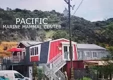 Pacific Marine Mammal