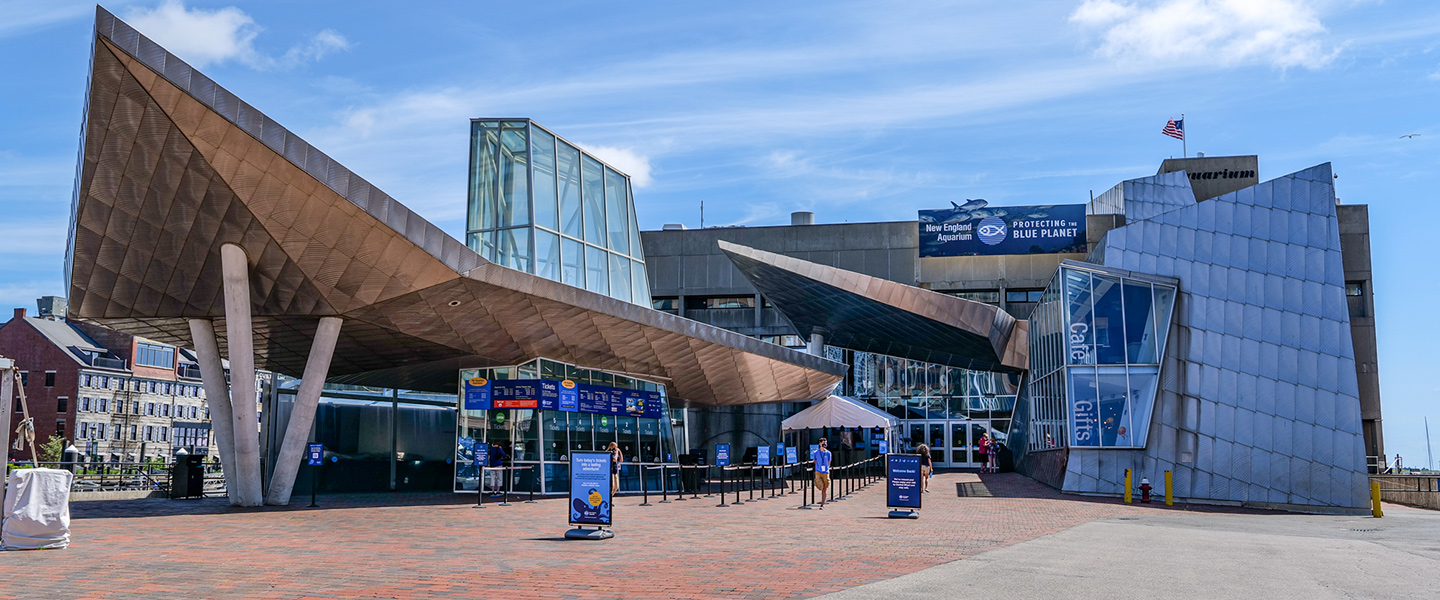 New England Aquarium Live Cam – Boston, Massachusetts