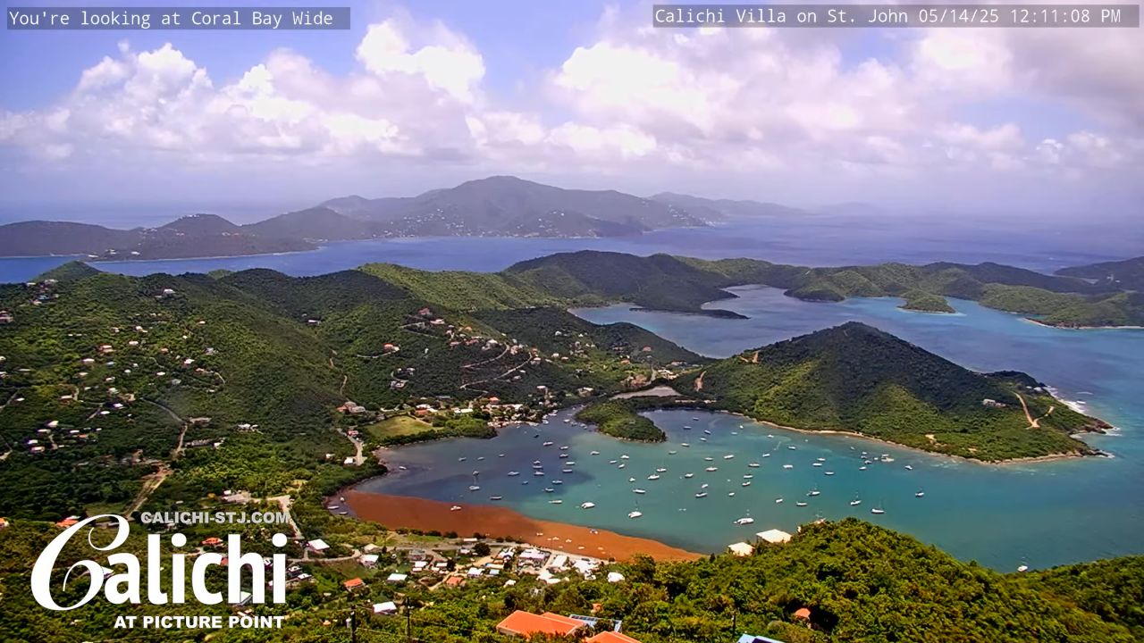 Calichi at Picture Point Jost Van Dyke, British Virgin Islands