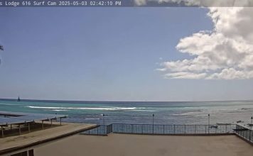 Honolulu Elks Lodge Live Stream Cam - Hawaii - Hd Video