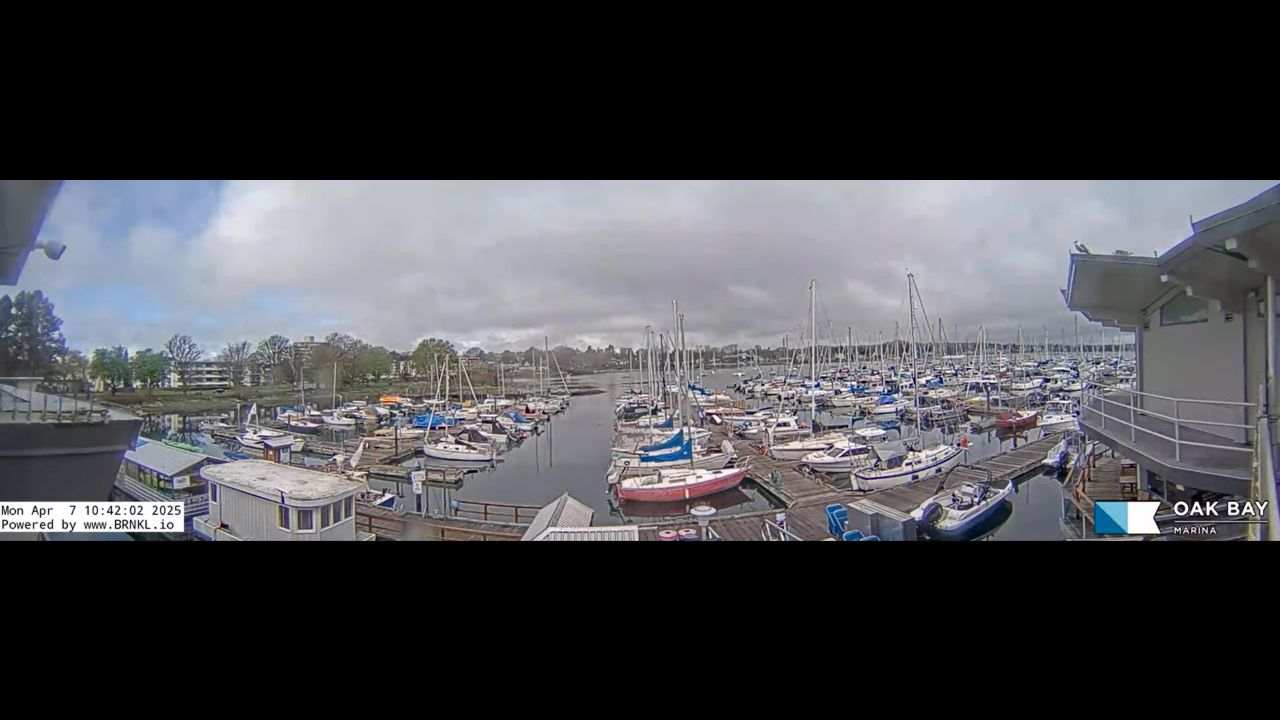 Live Webcam Oak Bay Beach Hotel – Marina