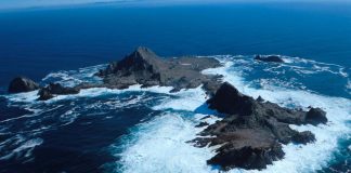 Farallon Islands Live Webcam - California - Real Time