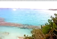 Bermuda Great Sound Live Stream Cam New