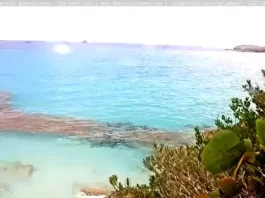 Bermuda Great Sound Live Stream Cam New