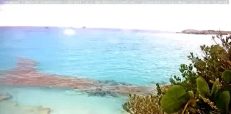 Bermuda Great Sound Live Stream Cam New