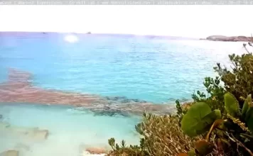 Bermuda Great Sound Live Stream Cam New