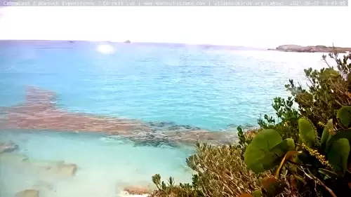 Bermuda Great Sound Live HD Webcam