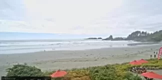 Cox Bay Webcam | Surf Cam | Beach Resort