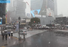 Live Cam Shibuya Scramble Tokyo, Japan | Hd Video