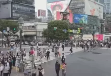 Tokyo Japan Shibuya Scramble Crossing Live Stream Cam New