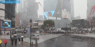 Live Cam Shibuya Scramble Tokyo, Japan | Hd Video