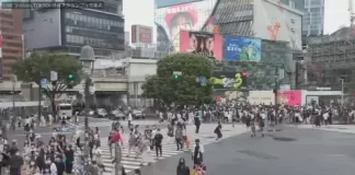 Tokyo Japan Shibuya Scramble Crossing Live Stream Cam New