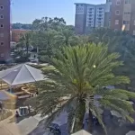 Tampa Florida Downtown Live Stream Cam New