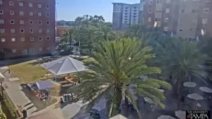 Tampa Florida Downtown Live Stream Cam New