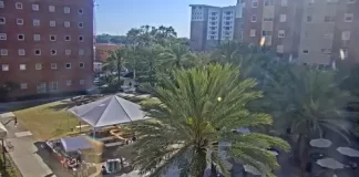 Tampa Florida Downtown Live Stream Cam New