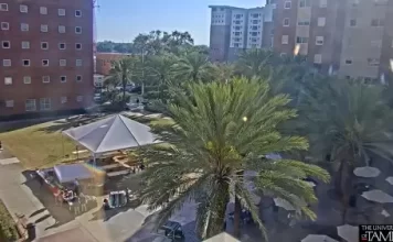 Tampa Florida Downtown Live Stream Cam New