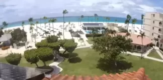 Bucuti Beach Live Stream Cam New