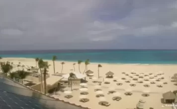 Tara Beach Live Stream Cam New