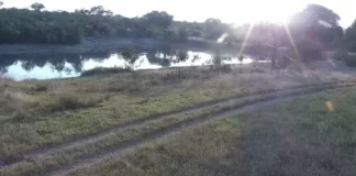 Djuma Private Game Reserve Live Cam, Africa