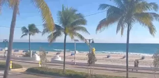 Fort Lauderdale Live Weather Stream Cam New In Florida