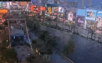 Las Vegas Strip Street Level