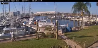 Florida Cape Marina Live Stream Cam New In Cape Canaveral